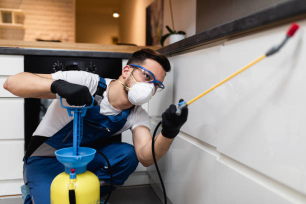 Best Emergency Pest Control  in Orange Beach, AL